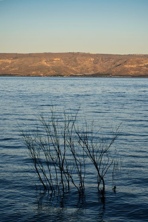 Immagine gratuita di acqua, fiume, increspature sull'acqua