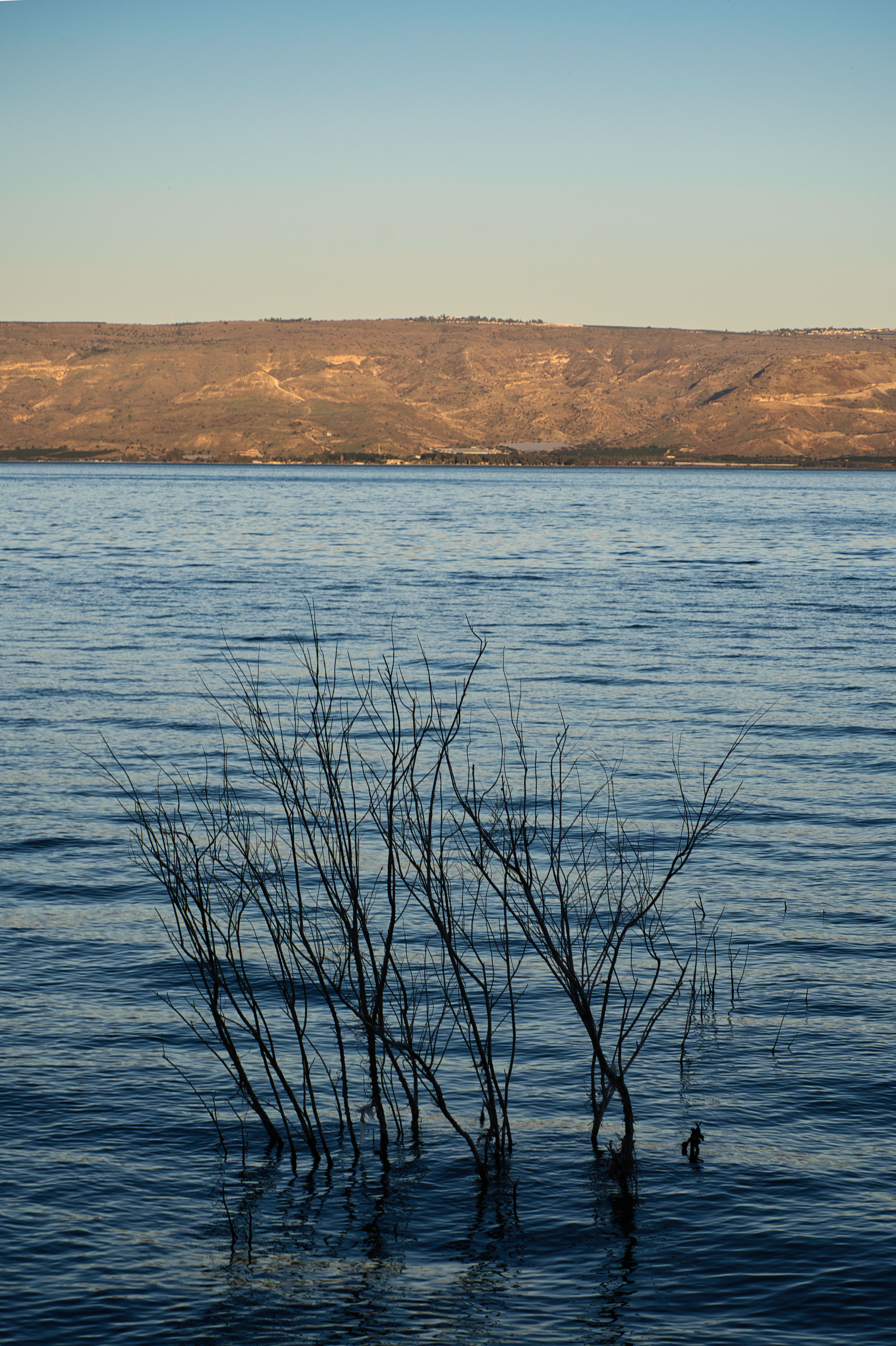 Brown Mountain near Body of Water · Free Stock Photo