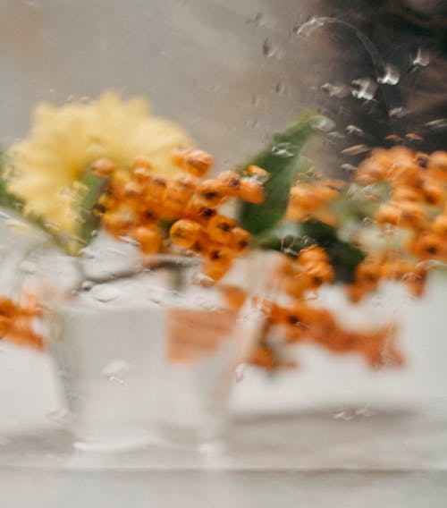 Raindrops over Window with Flower behind