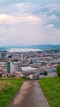 Captivating aerial view of Zürich's cityscape with a lakeside backdrop, seen from a lush hillside.