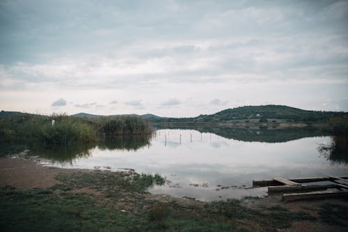 Foto profissional grátis de apressa, beira do lago, cenário