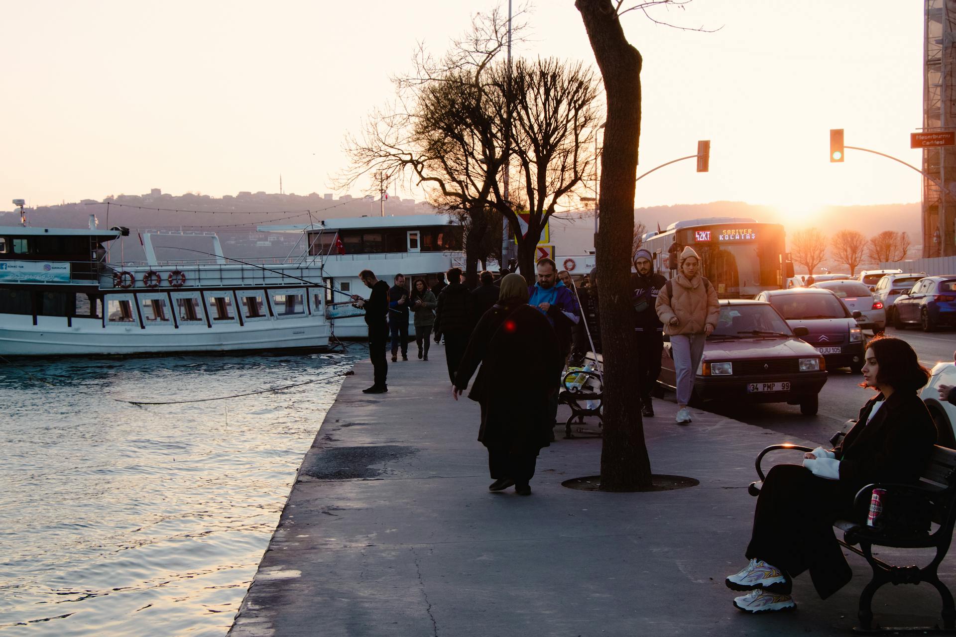 Free stock photo of bridge, bus, city