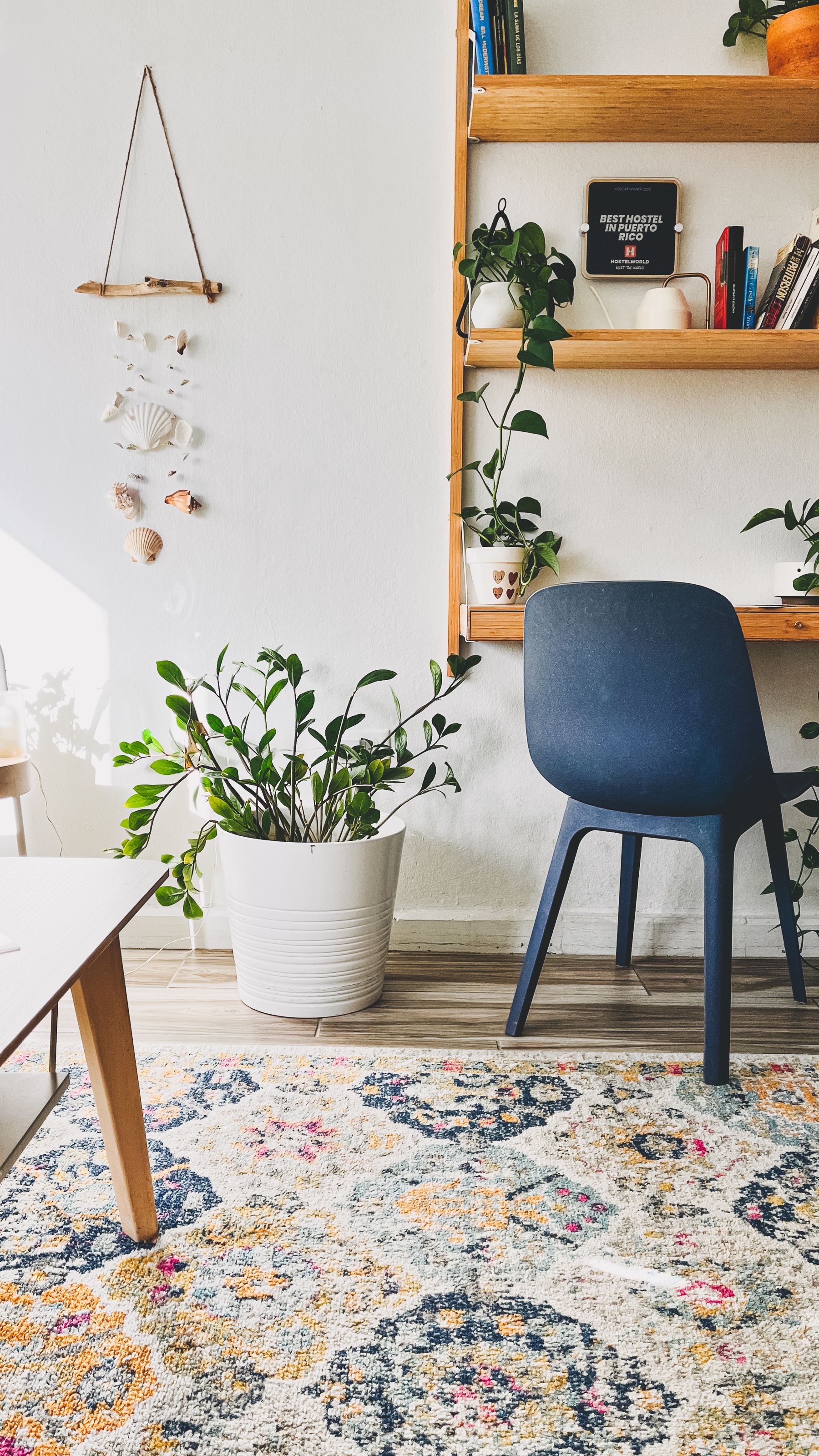 Colorful patterned rug beside a blue chair, wood table and plants