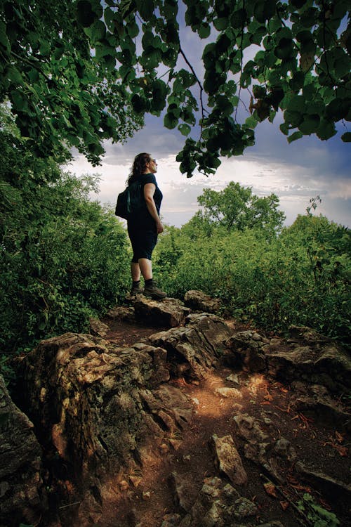 Hiker Standing on Rock in Forest