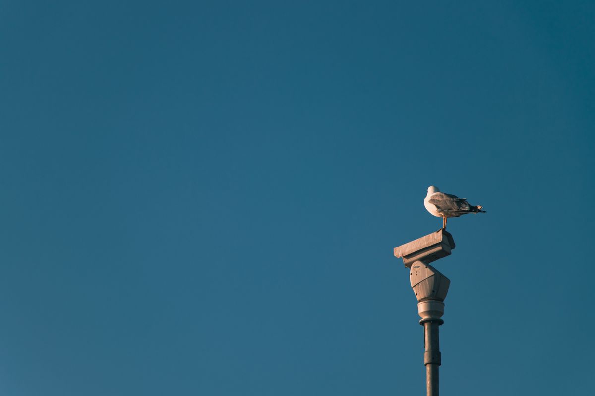 Anthropic contre surveillance et armes IA : pourquoi soutenir ?