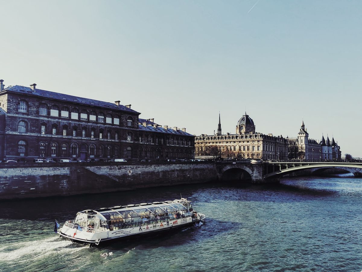 Seine Banks or Sightseeing Cruise