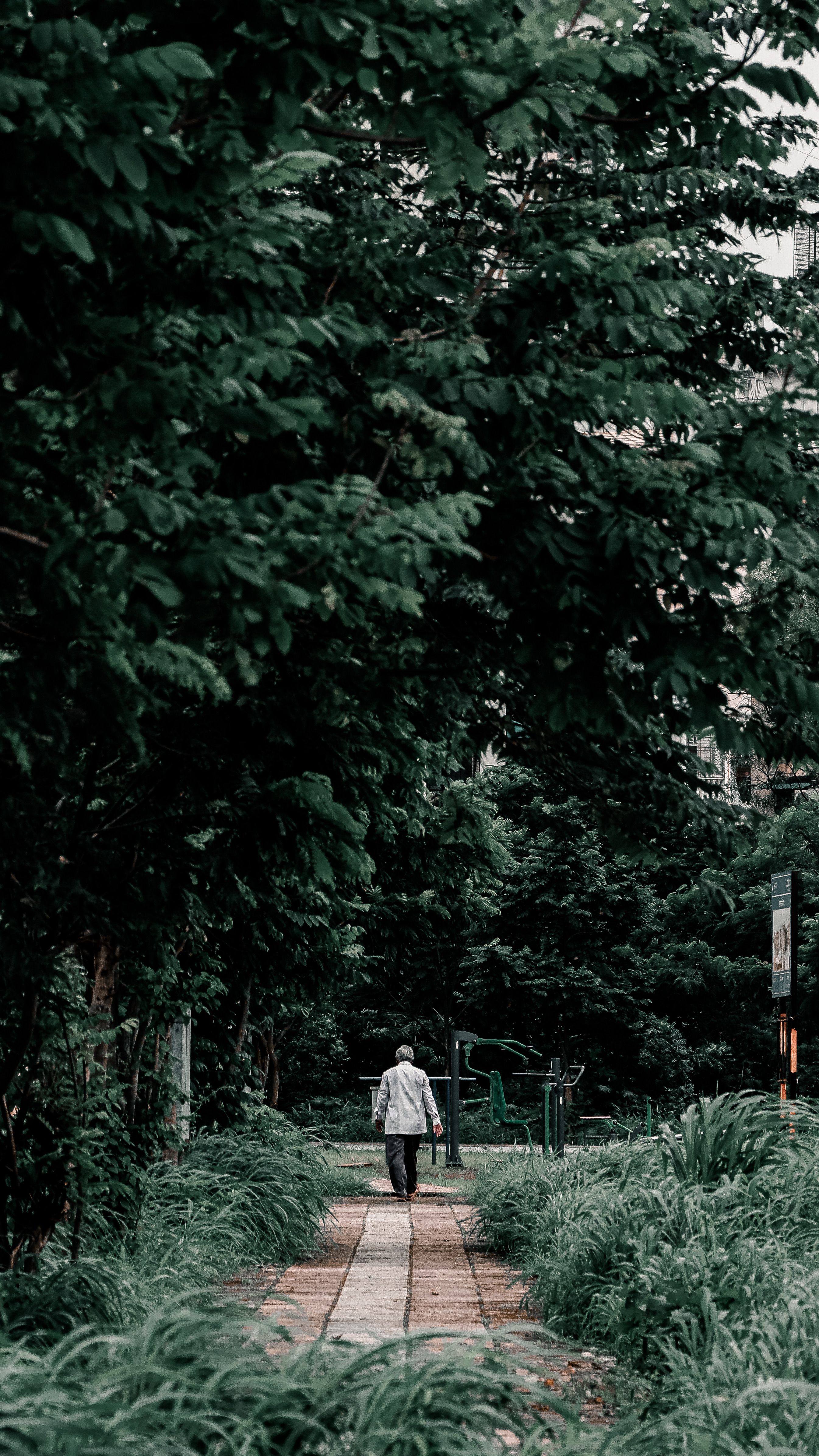 Person walking through a green park as a repeatable movement break during the day