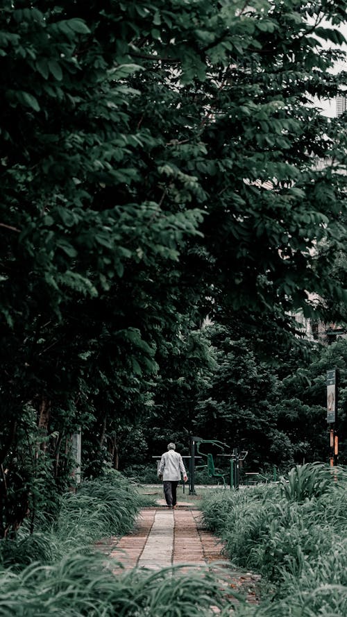 Person Walking in Green Park