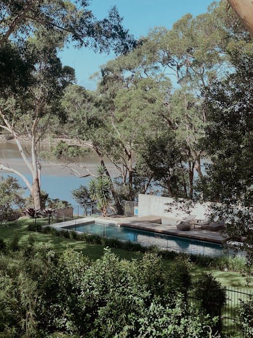 View of a Swimming Pool in the Yard with Trees near a Body of Water 