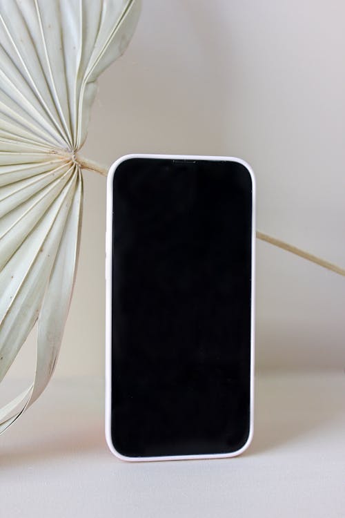 Close-up of an iPhone and a Dried Palm Leaf Decoration in the Background 
