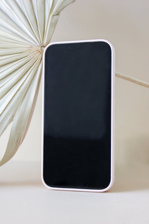 Close-up of an iPhone and a Dried Palm Leaf Decoration in the Background 