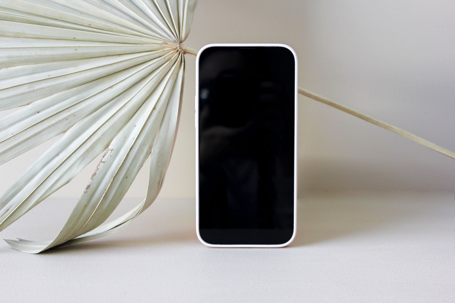 A contemporary smartphone displayed next to a dried palm leaf on a neutral background.