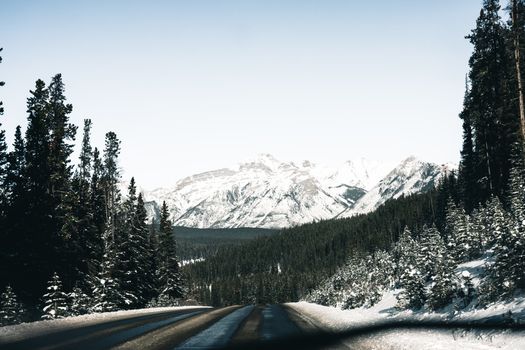 Snow-covered road with pine trees leading to stunning mountain peaks in Banff National Park.