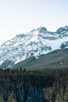 Stunning winter view of snow-covered mountains and forest in Banff National Park, Canada.
