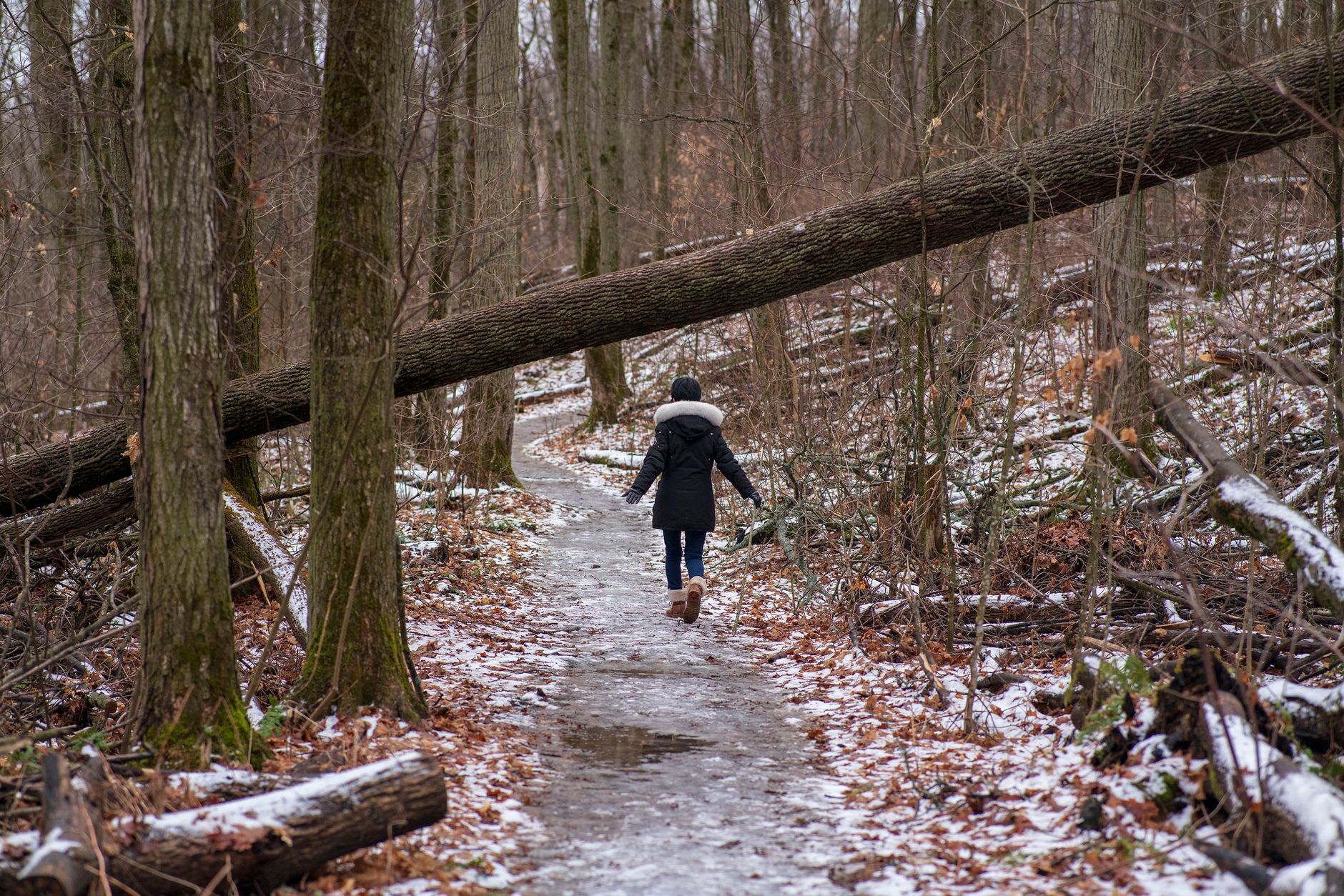 Centre d'interprétation du Ruisseau McFee