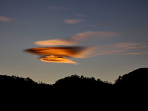 Immagine gratuita di alberi, cielo, cloud