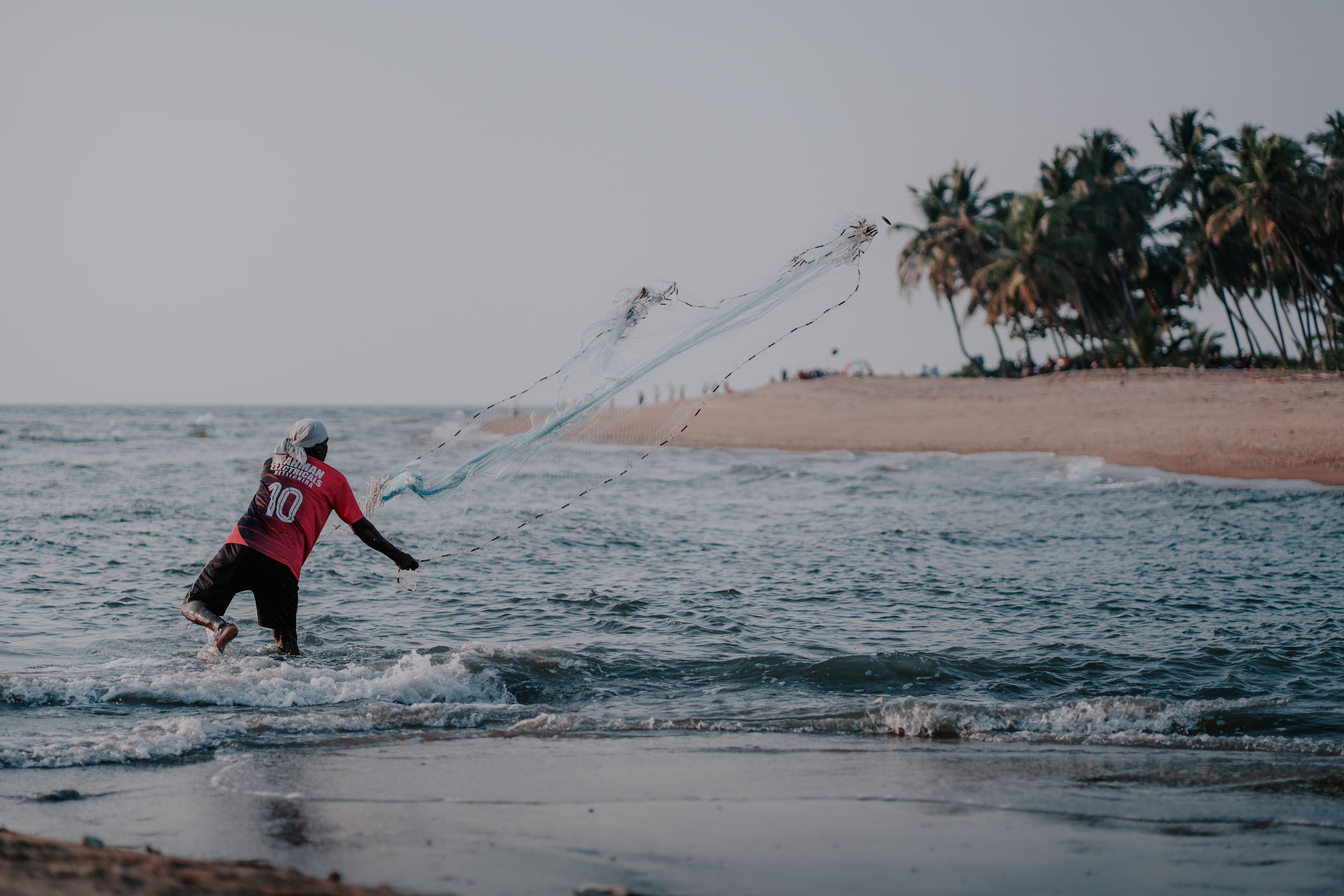 A fisherman throws his net into the ocean along a palm-lined tropical beach in Kerala, India.