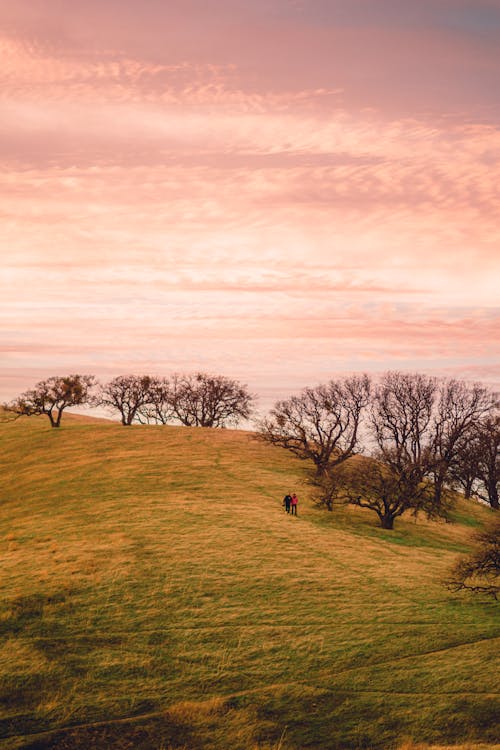 Hikers Walking in Hilly Meadow