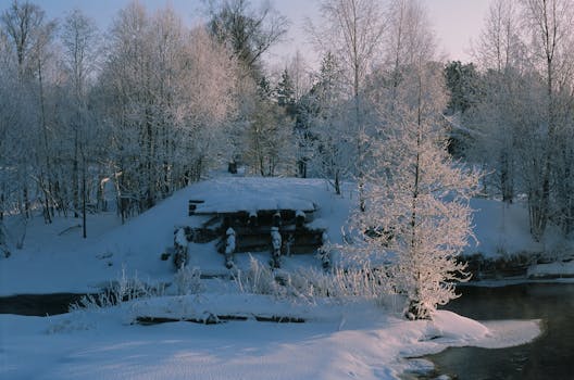 A peaceful winter scene featuring a snow-covered forest and icy stream at dawn.