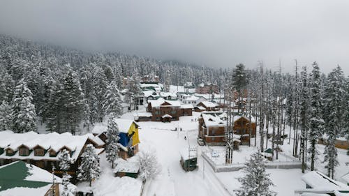 Gulmarg Becomes a Snowy Wonderland as Winter’s First Flakes Blanket Kashmir