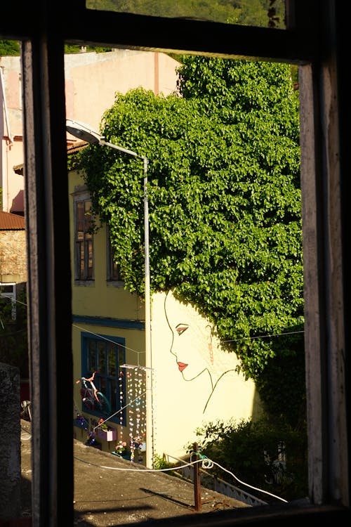 Mural of Woman by Climber Plant Growing on Wall