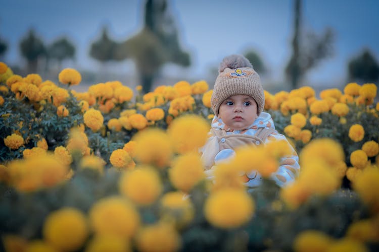 A Baby Near Marigold Flowers