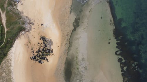 Aerial View of a Beach 