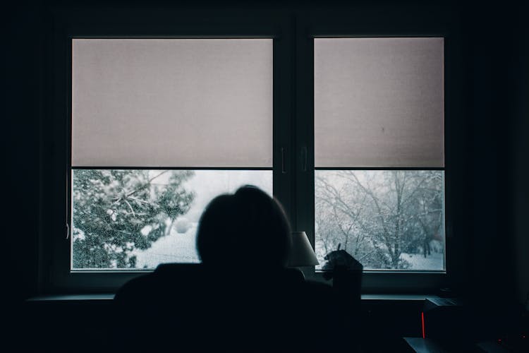 Back View Of A Person Looking At A Winter Landscape