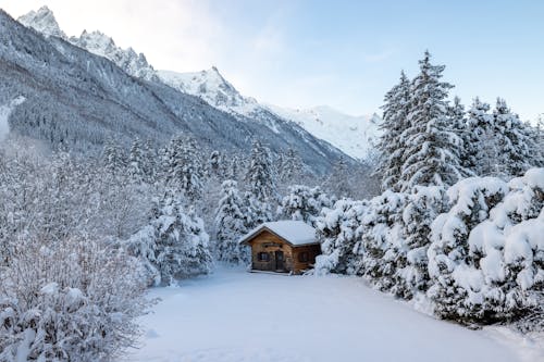 Wooden Hut in Snowed Meadow