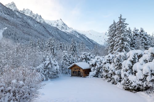 Gratis stockfoto met berg, bergen, besneeuwd