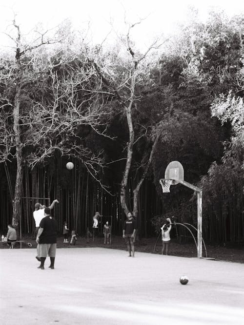 Foto d'estoc gratuïta de 35 mm, activitat esportiva, bàsquet