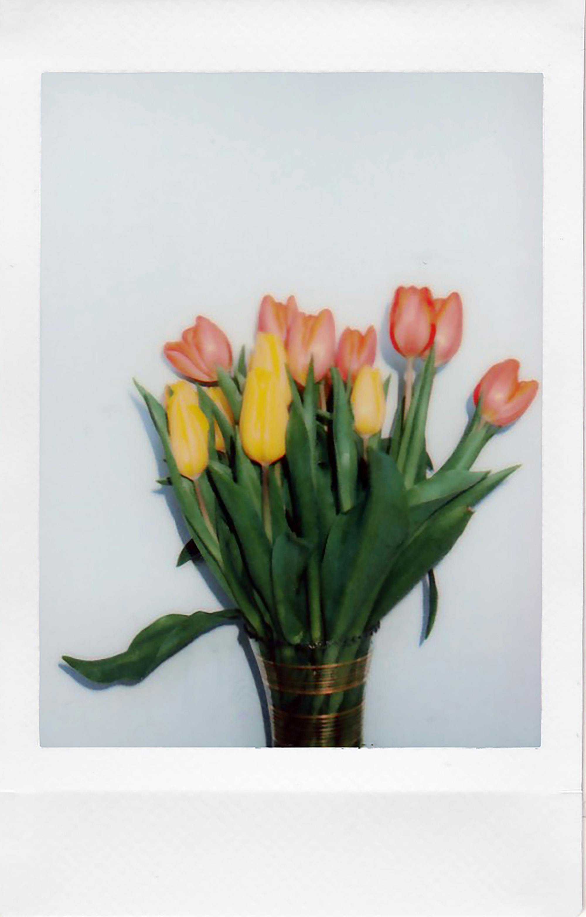 Colorful tulip bouquet in a vase against a white backdrop for artistic floral display.