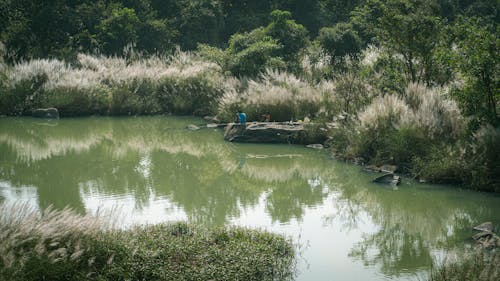 People Sitting by the Lake