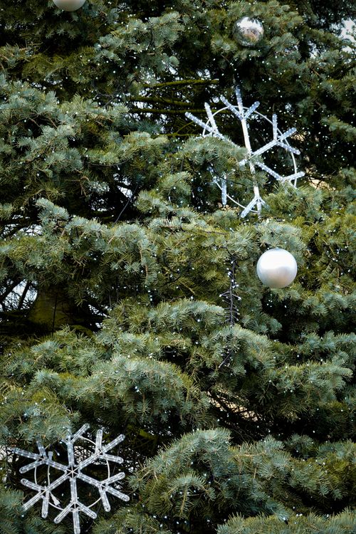 Free A close-up of a decorated Christmas tree with snowflakes and a silver bauble among lush green branches. Stock Photo