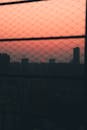 Silhouette of Fence and Skyscrapers against Evening Sky