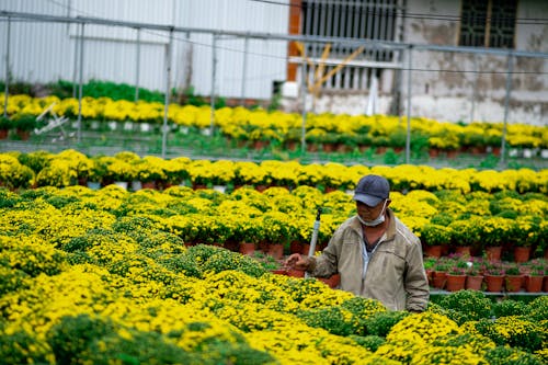 Man among Flowers in a Garden Store 