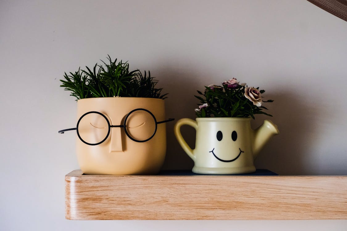 Potted Plants on a Shelf