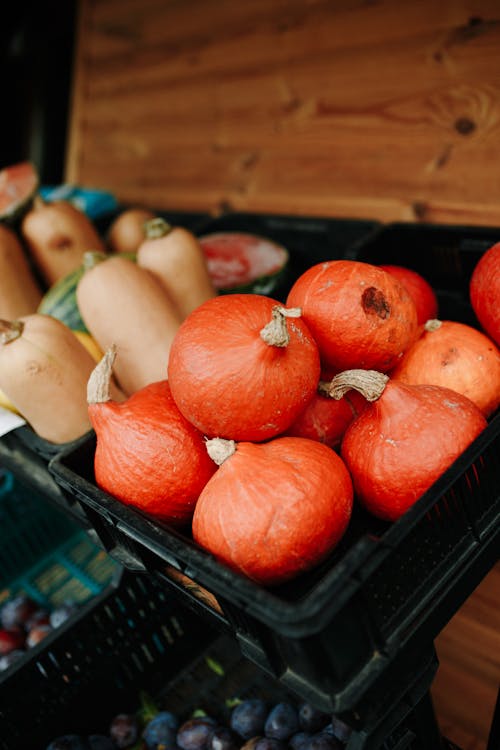 Close-up of Pumpkins in Green Plastic Crates at a Market Stall 