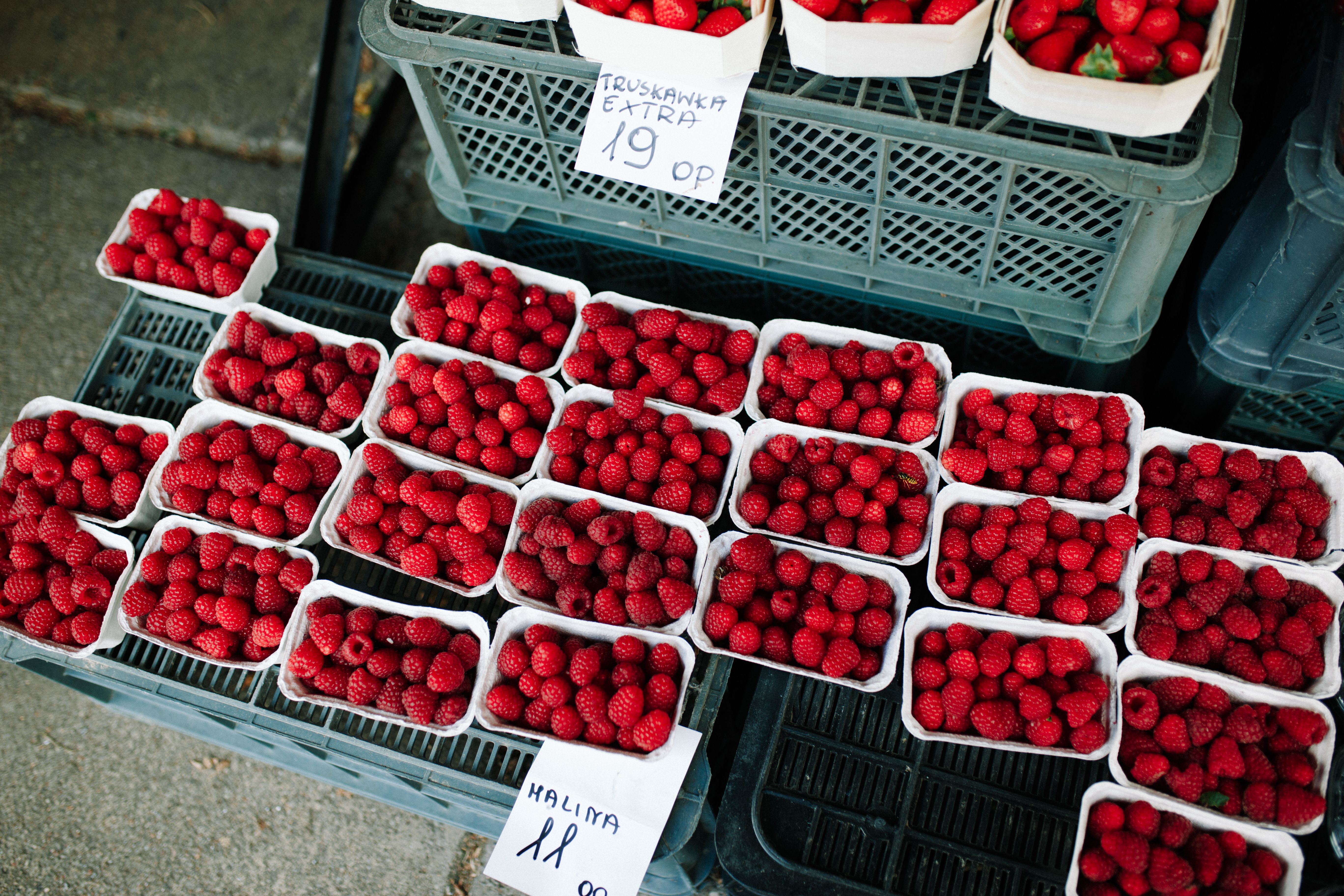 Navigating Grocery Inflation: Where Food Prices Are Cooling Off And Where Costs Remain High
