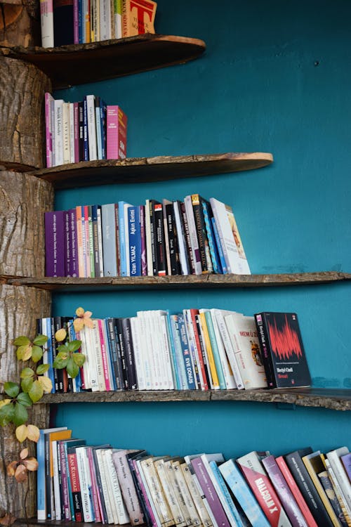 Free Shelves with Books Stock Photo