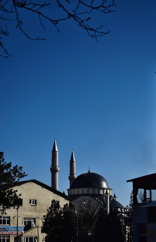 Buildings against a Clear Sky 