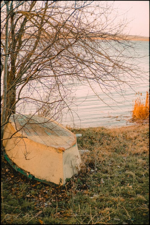 Základová fotografie zdarma na téma břeh jezera, člun, jezero