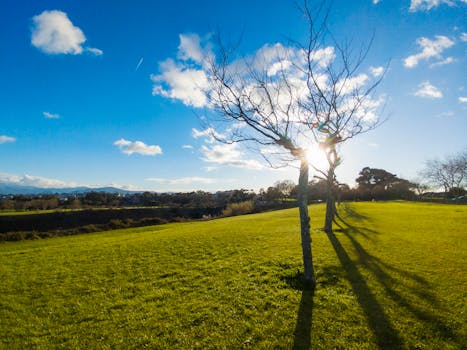 A beautiful rural landscape featuring bare trees and a sunny blue sky.