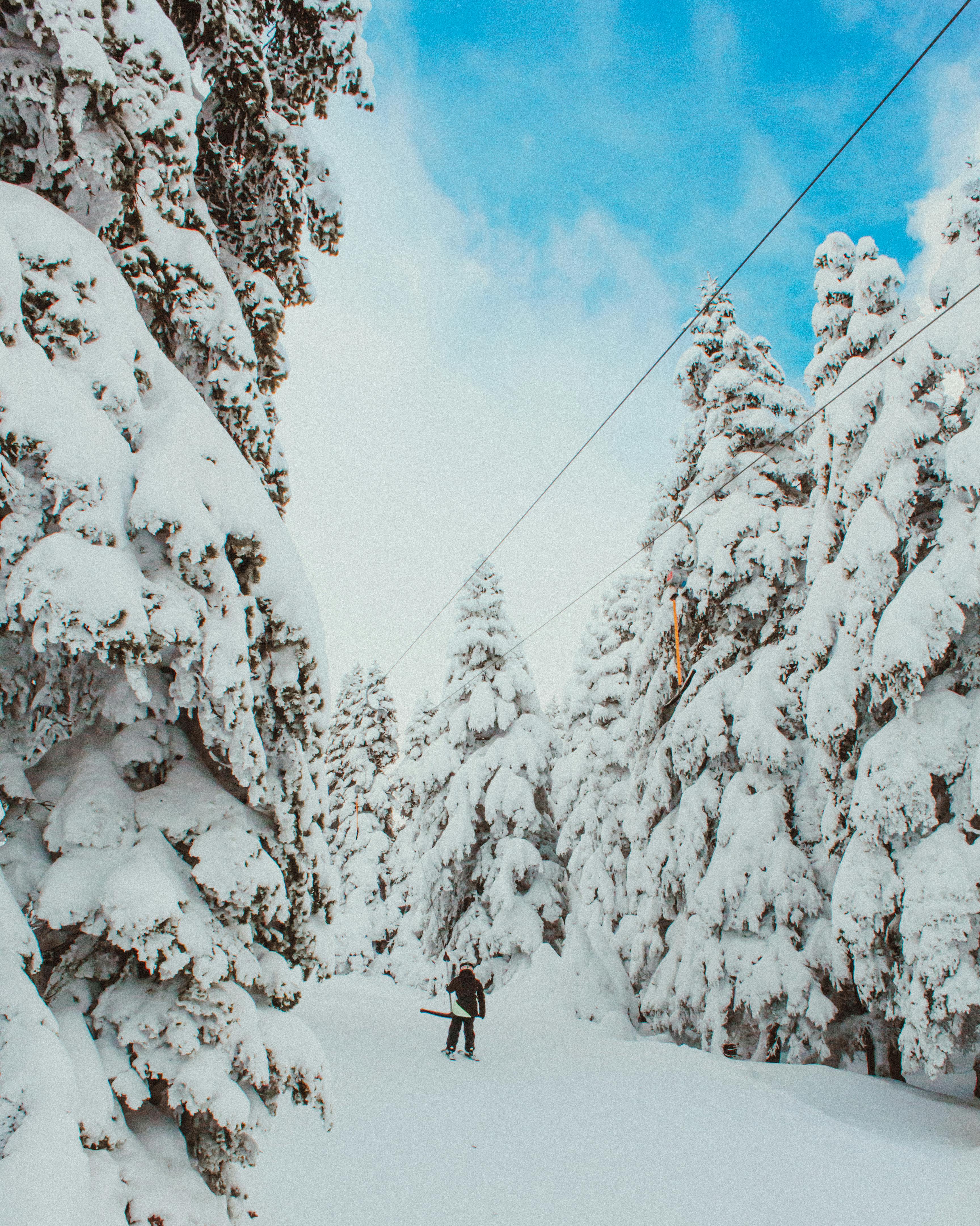 Prescription Goggle Inserts - A serene winter scene of a skier navigating through a snowy forest in Bursa, Türkiye.