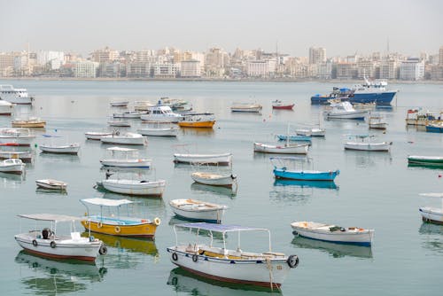 Fotos de stock gratuitas de agua, barcos, ciudad