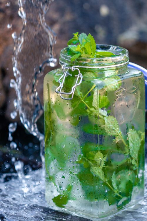 Mint in Cold Water · Free Stock Photo