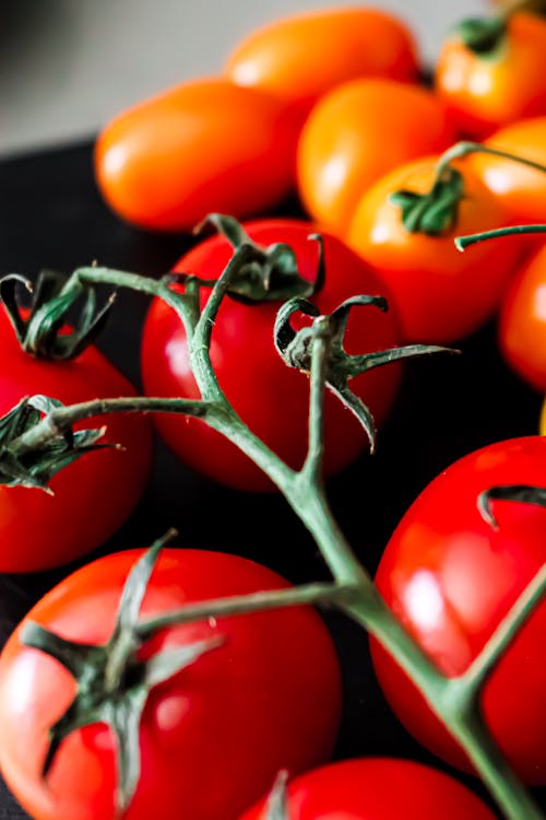 Closeup of Cherry Tomatoes