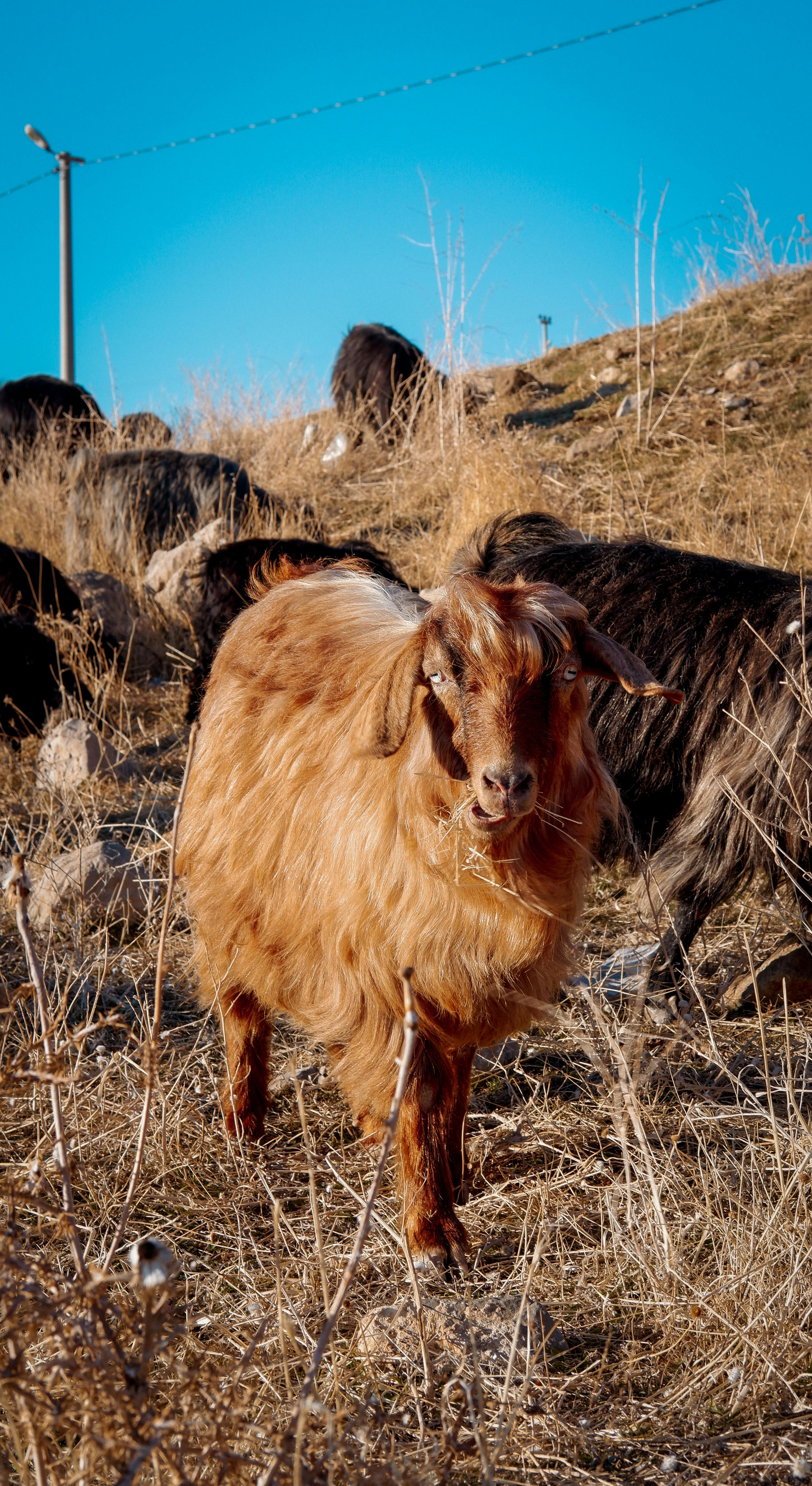 grátis Foto profissional grátis de @exterior, agricultura, amigo do ambiente Foto profissional