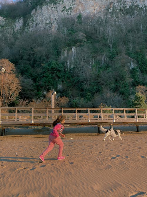 Foto profissional grátis de areia, cachorro, garota