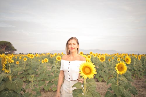 Фотография женщины, стоящей на подсолнечном поле